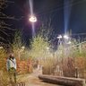 Irie_6in's profile picture