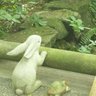 serinazna 的头像