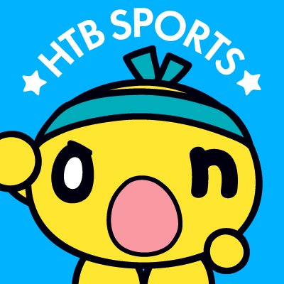 HTBスポーツ's profile picture