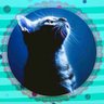 雪見月's profile picture