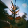 Atharva Kadu's profile picture
