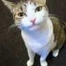 もーちゃんねる。's profile picture
