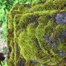 たかゆ 的头像