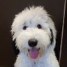 Winnie profil fotoğrafı
