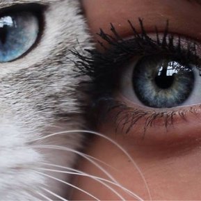 Karolina K. 🐺#KarolNawrocki's profile picture