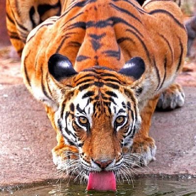 2016Mrmohd's profile picture