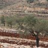 Фото профиля Abbas
