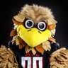 Freddie Falcon's profile picture