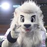 Faz's profile picture