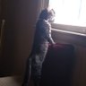 Фото профиля Penny😽❤️