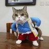Фото профиля IT Support specialist