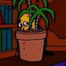 3 tamales en gabardina's profile picture