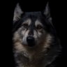Graeme's profile picture
