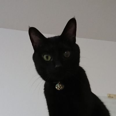 p4vvBA4HI6DmBHS's profile picture