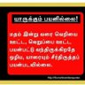 ஏ மதுர மதுர 的头像