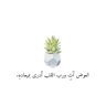 Zeze's profile picture