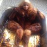 Mike Guislain's profile picture