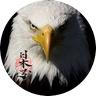 🦅イーグル🇯🇵🏯's profile picture