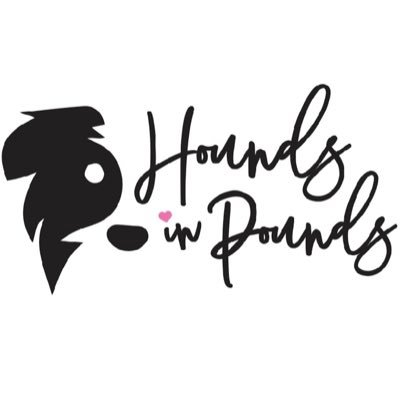 Hounds in Pounds's profile picture