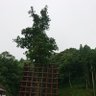 Profilbild von たっか