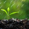 soilNrain 的头像