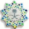 فيصل القحطاني 的头像