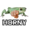 Tyler's profile picture