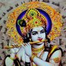 Balaji's profile picture