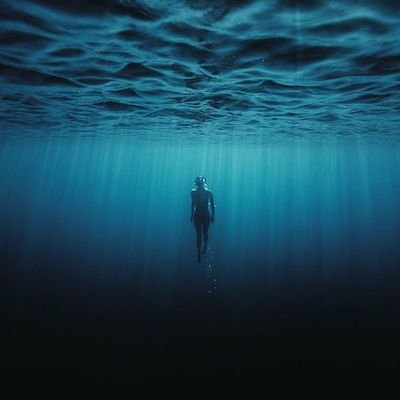 씨리얼's profile picture