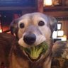 Ivan⓭'s profile picture