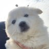 Minzy's profile picture