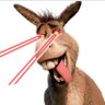 Profilbild von Vinnie