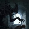 Drokva's profile picture