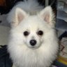 yosi's profile picture
