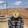 Profilbild von cryptolover