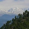 Фото профиля Abhijit Roy