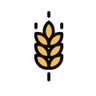 craftmatters 的头像