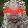 Profilbild von Joe Liโฟertarian