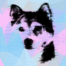 AstroDoge's profile picture