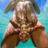 Фото профиля AGBELIVI