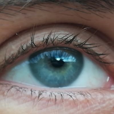pivopija's profile picture