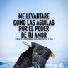 Libertad ็ๅคดๅ