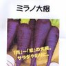 ミラノ大根's profile picture