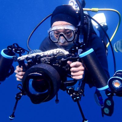 Shotaro Inoue@岡山 映像制作's profile picture