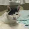 佐藤's profile picture