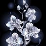 Deborahw704@gmail.com's profile picture