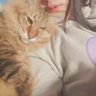 Profilbild von もかこ🐞ススキ🌾(˙罒˙)/ イーー👉明っ希👈