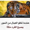 Profilbild von ابوسعيد السالم