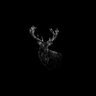 TrueJackal's profile picture