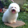 sandino00's profile picture